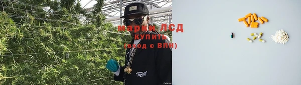 гашик Новозыбков
