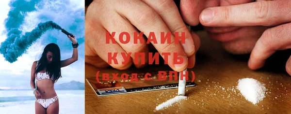 гашик Новозыбков
