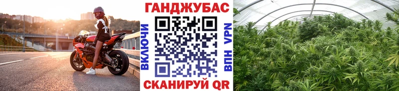 наркота  Покров  Канабис марихуана 